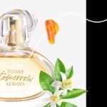 it_desk_bp_Avon_Always_w12_22_f5f5f5